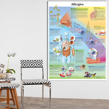 Load image into Gallery viewer, Allergies Chart Poster