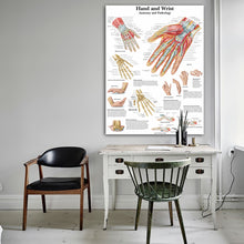Load image into Gallery viewer, Hand Wrist Anatomy and Pathology Poster