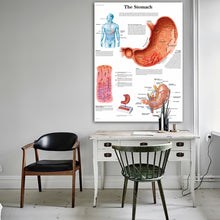 Load image into Gallery viewer, The Digestive System Chart Poster