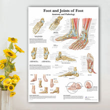 Load image into Gallery viewer, Foot and Joint Anatomy and Pathology Poster