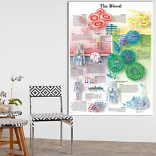 Load image into Gallery viewer, The Blood Anatomy and Pathology Poster