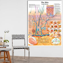 Load image into Gallery viewer, Skin Anatomy Poster