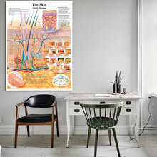Load image into Gallery viewer, Skin Anatomy Poster